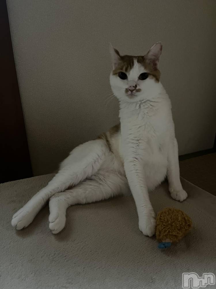 ��ë����Х��顦�����CLUB��Paladin(����֡��ѥ�ǥ���) �ȱʥ��Τ�10��12���̥�֥����֤ͤ�(  ���꒳​��� )ᐝ��