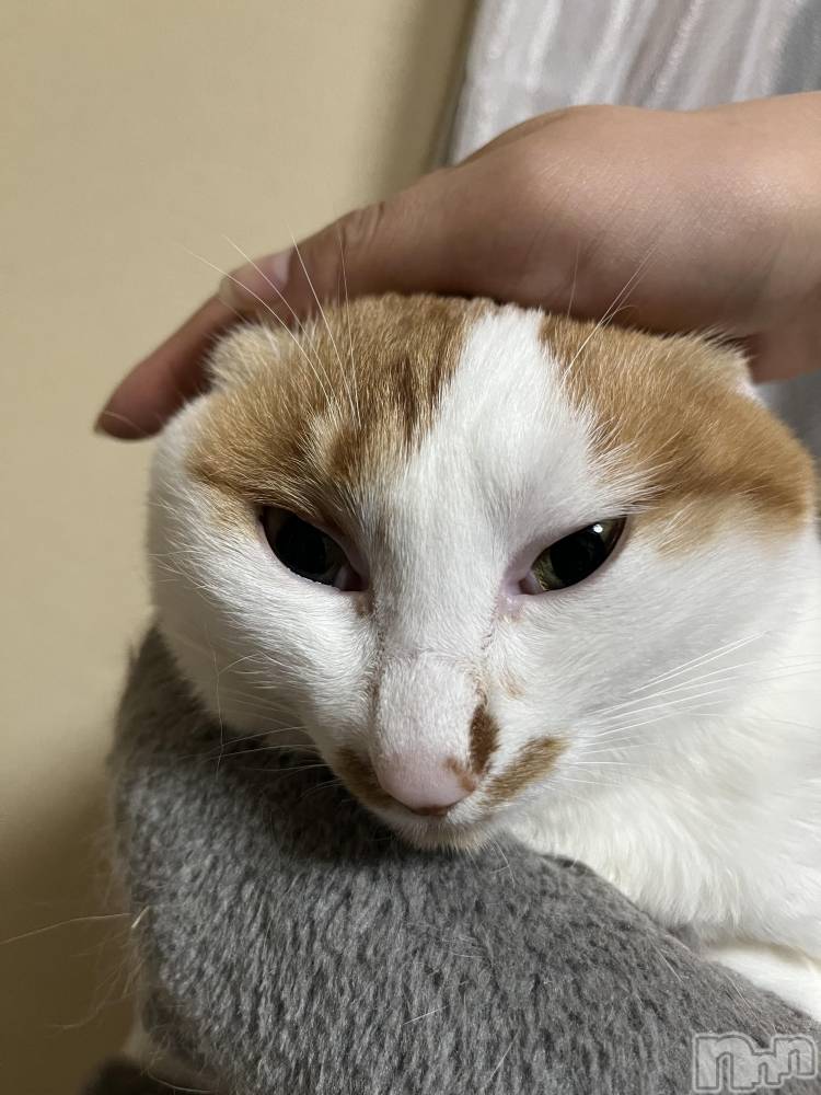 ��ë����Х��顦�����CLUB��Paladin(����֡��ѥ�ǥ���) �ȱʥ��Τ�11��15���̥�֥����֤����