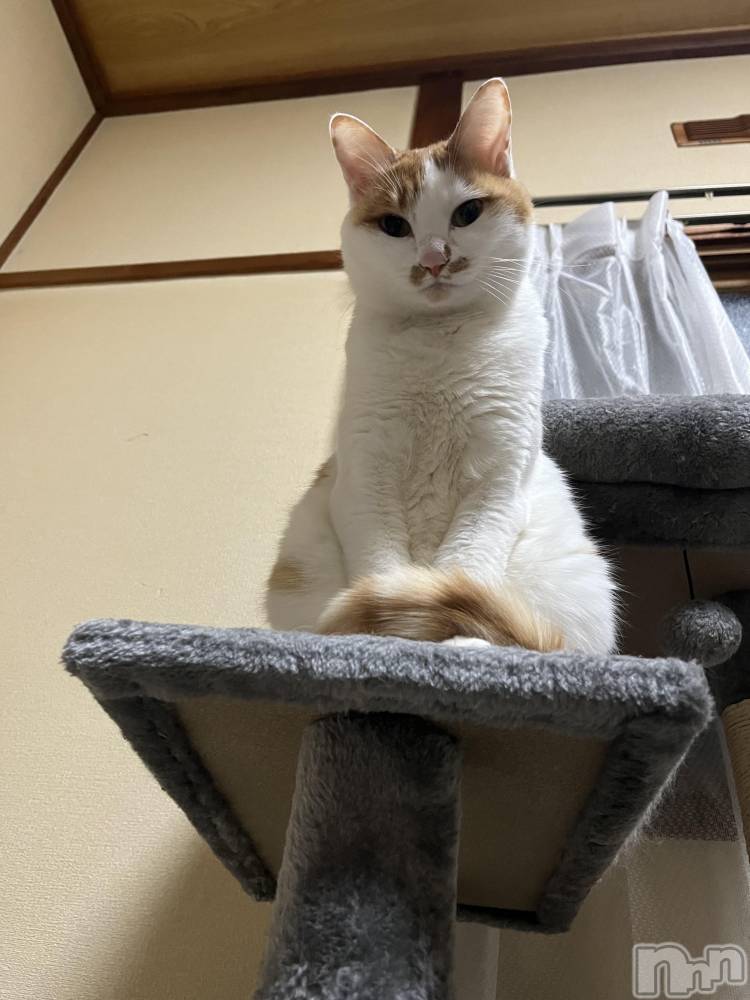 ��ë����Х��顦�����CLUB��Paladin(����֡��ѥ�ǥ���) �ȱʥ��Τ�11��21���̥�֥����ָ��������ͤ���