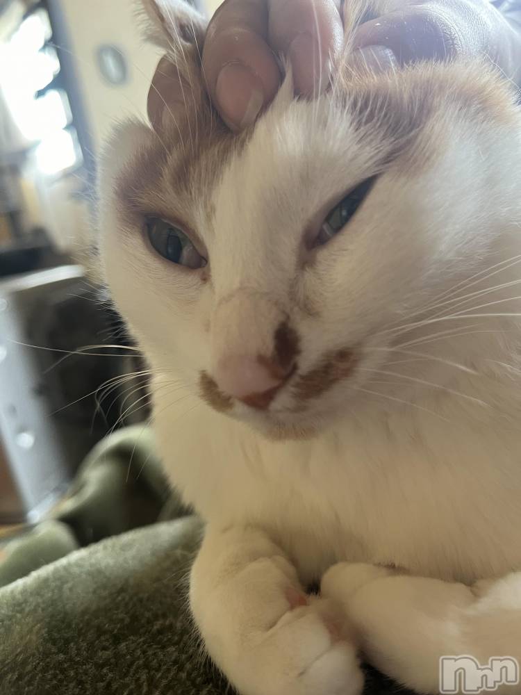 ��ë����Х��顦�����CLUB��Paladin(����֡��ѥ�ǥ���) �ȱʥ��Τ�11��29���̥�֥����֤ؤ󤬤���