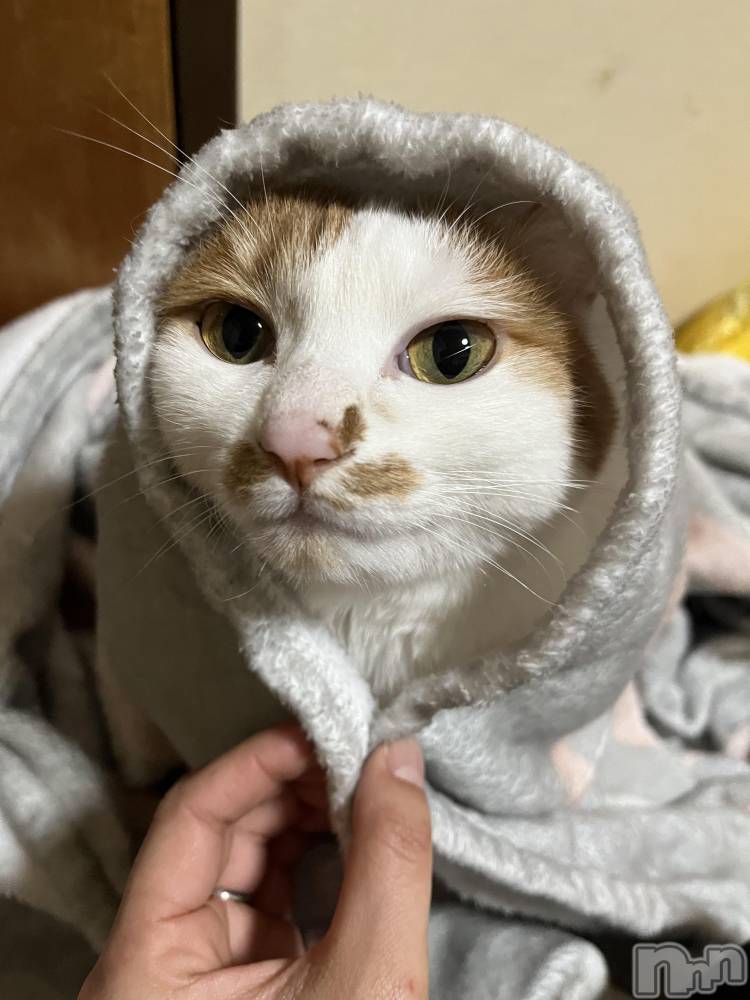 ��ë����Х��顦�����CLUB��Paladin(����֡��ѥ�ǥ���) �ȱʥ��Τ�1��12���̥�֥����֎ՎҎ����ݎ��������������܎��������ݡ�