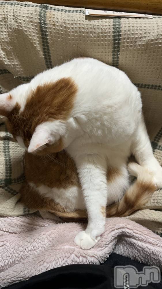 ��ë����Х��顦�����CLUB��Paladin(����֡��ѥ�ǥ���) �ȱʥ��Τ�1��23���̥�֥�����˻�����͡�