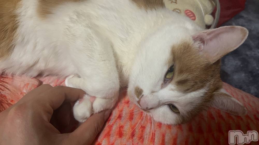 ��ë����Х��顦�����CLUB��Paladin(����֡��ѥ�ǥ���) �ȱʥ��Τ�1��24���̥�֥����֥ʡ�����