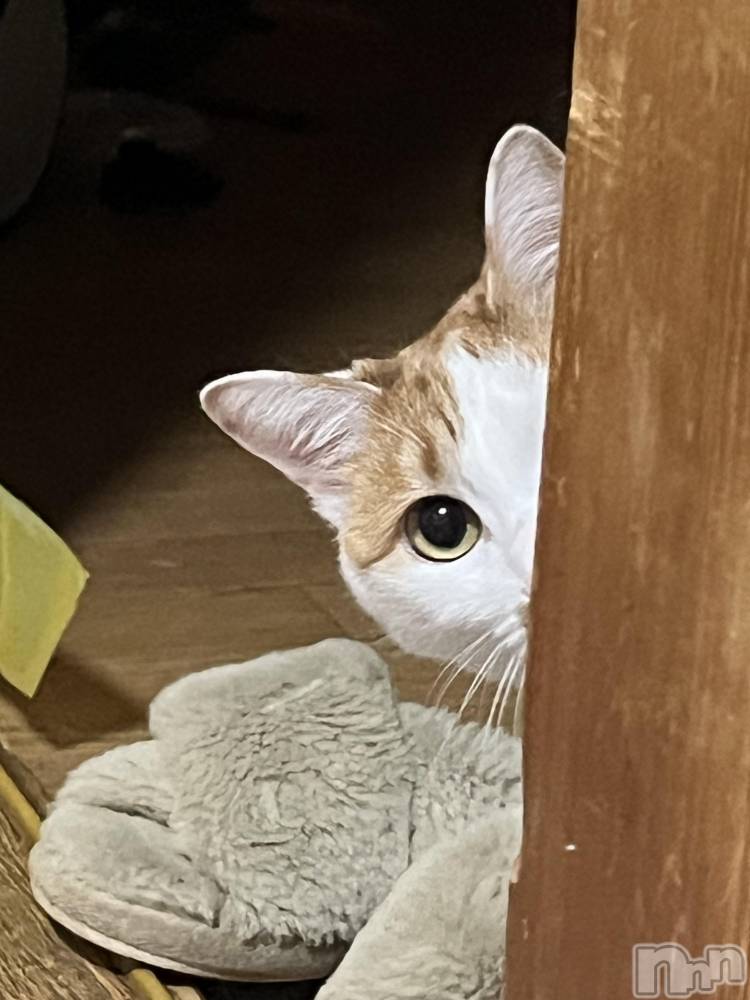 ��ë����Х��顦�����CLUB��Paladin(����֡��ѥ�ǥ���) �ȱʥ��Τ�2��1���̥�֥����ֵפ��֤����