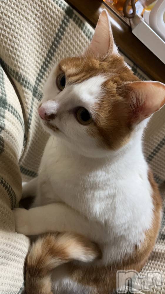 ��ë����Х��顦�����CLUB��Paladin(����֡��ѥ�ǥ���) �ȱʥ��Τ�2��8���̥�֥����֤��त��