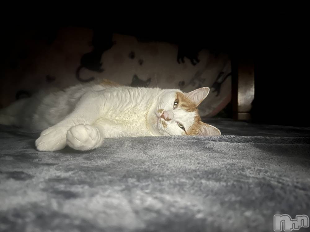 ��ë����Х��顦�����CLUB��Paladin(����֡��ѥ�ǥ���) �ȱʥ��Τ�2��14���̥�֥����֥����ʡ�