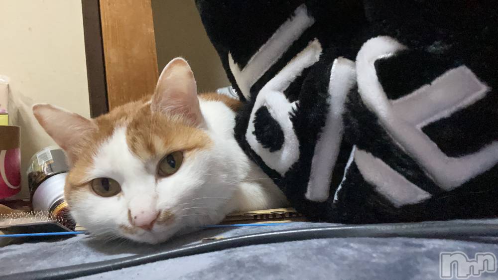 ��ë����Х��顦�����CLUB��Paladin(����֡��ѥ�ǥ���) �ȱʥ��Τ�2��21���̥�֥����֤ͤ�������