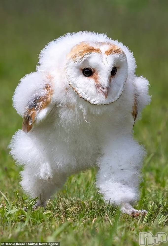 ��ë����Х��顦�����CLUB��Paladin(����֡��ѥ�ǥ���) �ȱʥ��Τ�2��28���̥�֥����֎����� �����Ρ�