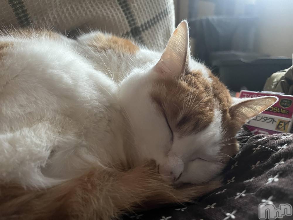 ��ë����Х��顦�����CLUB��Paladin(����֡��ѥ�ǥ���) �ȱʥ��Τ�3��22���̥�֥����֥�������