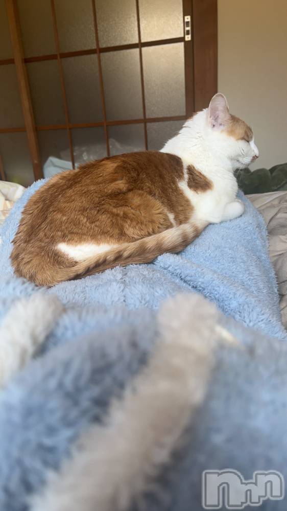 ��ë����Х��顦�����CLUB��Paladin(����֡��ѥ�ǥ���) �ȱʥ��Τ�3��27���̥�֥����֤٤ä��������