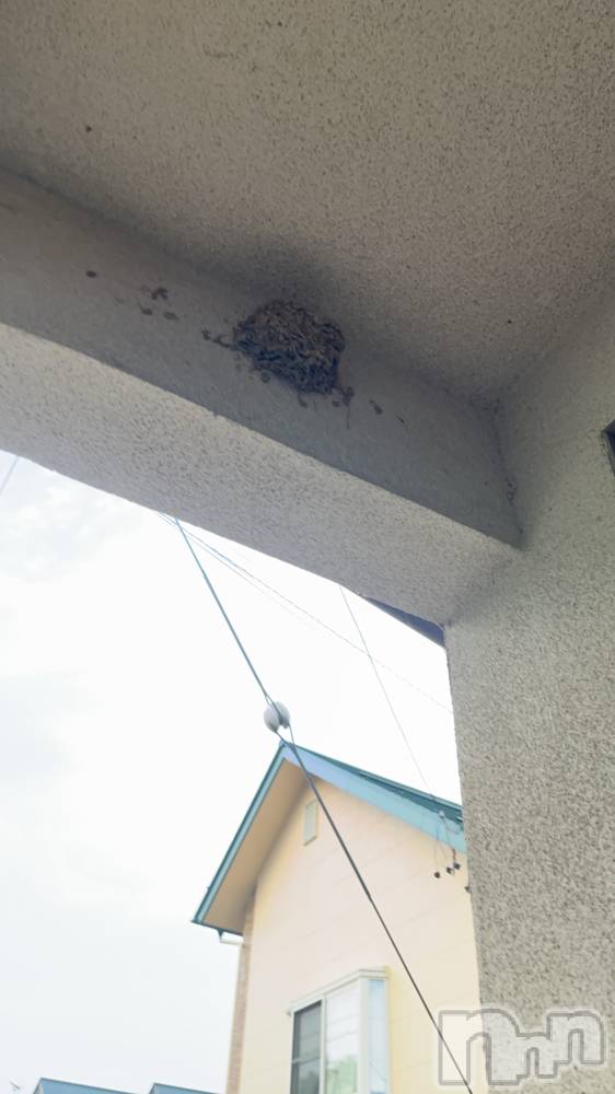 ��ë����Х��顦�����CLUB��Paladin(����֡��ѥ�ǥ���) �ȱʥ��Τ�5��15���̥�֥��������