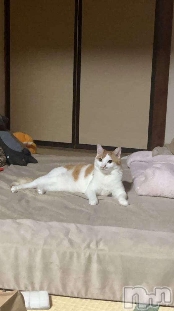 ��ë����Х��顦�����CLUB��Paladin(����֡��ѥ�ǥ���) �ȱʥ��Τ�5��31���̥�֥�����ȴ���ӡ�