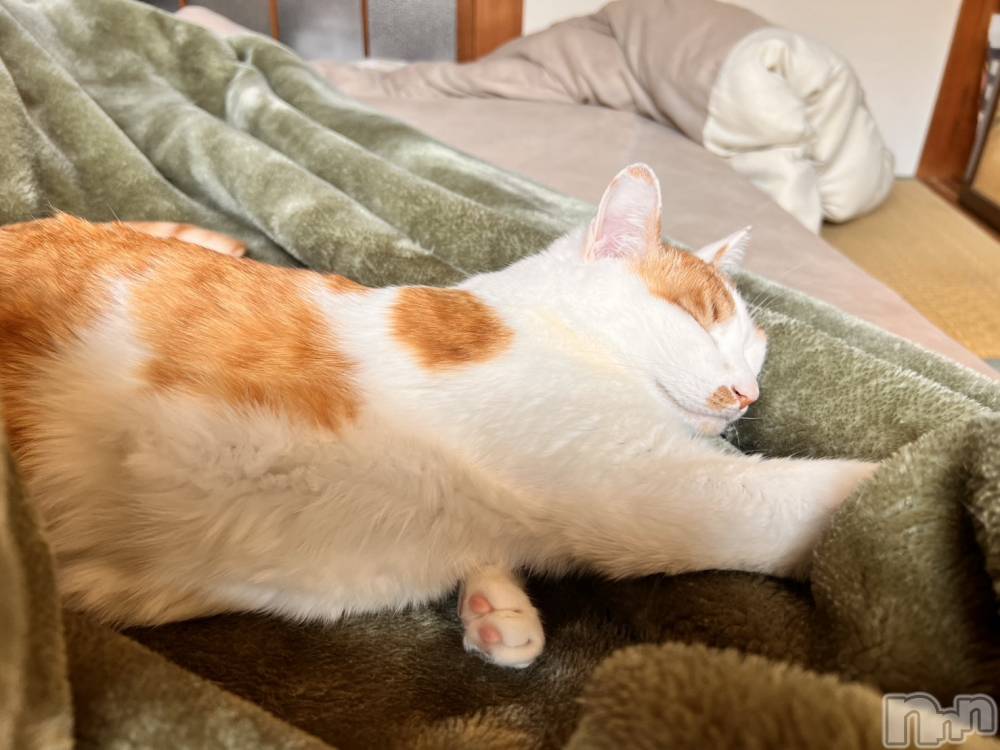 ��ë����Х��顦�����CLUB��Paladin(����֡��ѥ�ǥ���) �ȱʥ��Τ�6��13���̥�֥����֤դ�դ��