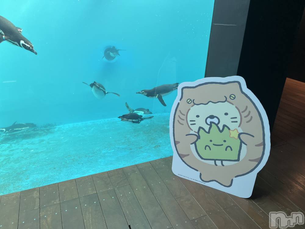 ��ë����Х��顦�����CLUB��Paladin(����֡��ѥ�ǥ���) �ȱʥ��Τ�7��6���̥�֥����֤��ߤä���