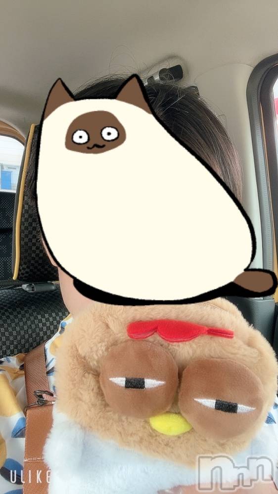 ��ë����Х��顦�����CLUB��Paladin(����֡��ѥ�ǥ���) �ȱʥ��Τ�8��2���̥�֥����֤��ʤ����