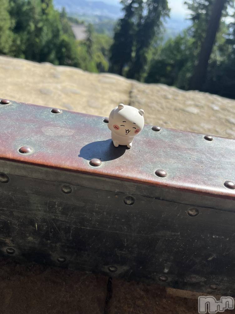 ��ë����Х��顦�����CLUB��Paladin(����֡��ѥ�ǥ���) �ȱʥ��Τ�9��7���̥�֥����������Τ��������