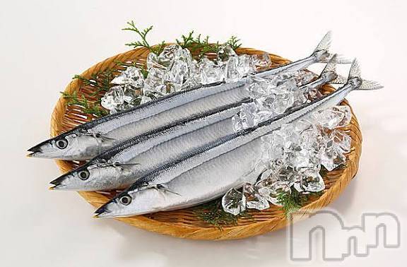 ��ë����Х��顦�����CLUB��Paladin(����֡��ѥ�ǥ���) �ȱʥ��Τ�9��14���̥�֥����֤���ޡ�