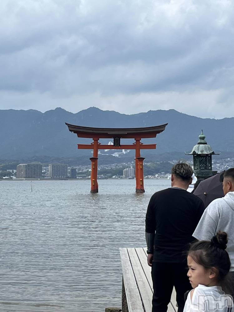 ��ë����Х��顦�����CLUB��Paladin(����֡��ѥ�ǥ���) �ȱʥ��Τ�11��1���̥�֥����ֹ��筤��