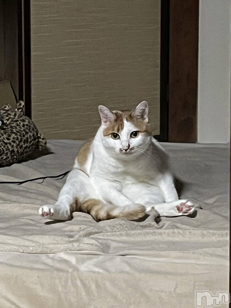 ��ë����Х��顦�����CLUB��Paladin(����֡��ѥ�ǥ���) �ȱʥ��Τ�11��13���̥�֥����֎ՎҎ����ݎ��������������܎��������ݡ�