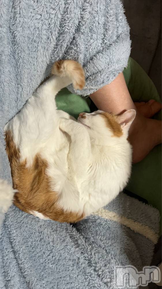 ��ë����Х��顦�����CLUB��Paladin(����֡��ѥ�ǥ���) �ȱʥ��Τ�12��6���̥�֥����֤�äդ�äա�