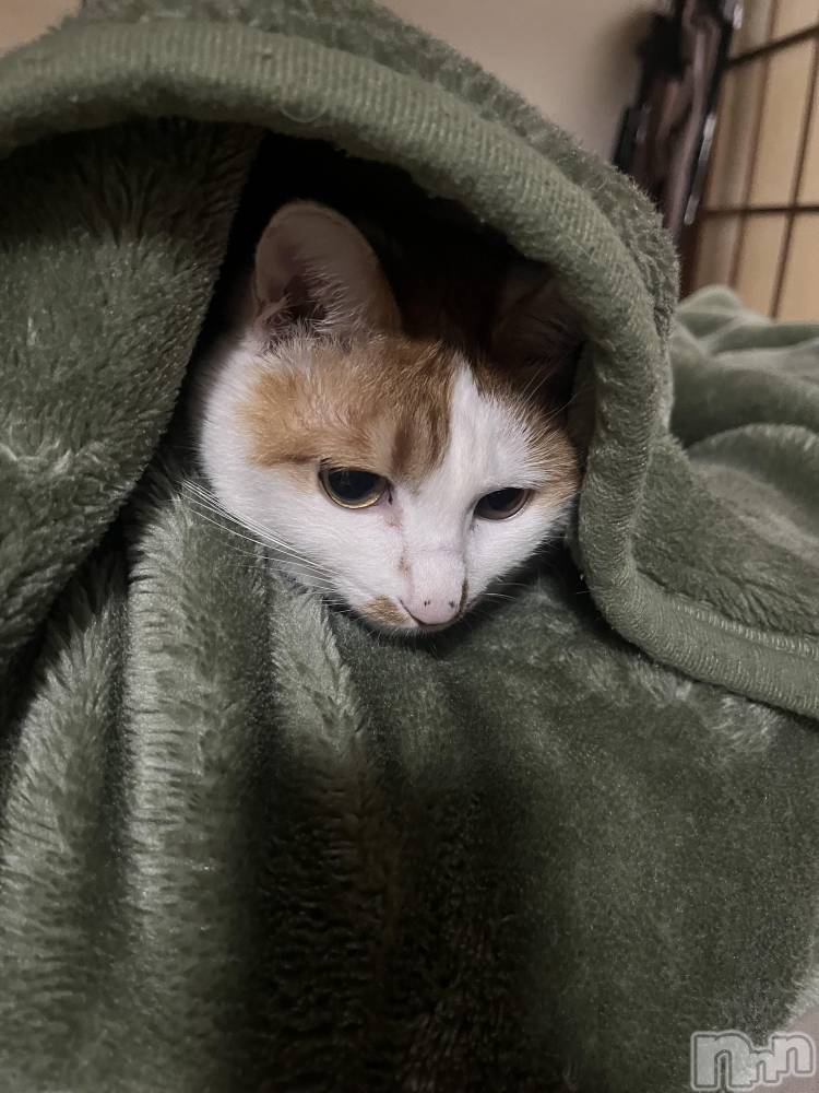 ��ë����Х��顦�����CLUB��Paladin(����֡��ѥ�ǥ���) �ȱʥ��Τ�12��14���̥�֥����֤̤��̤���