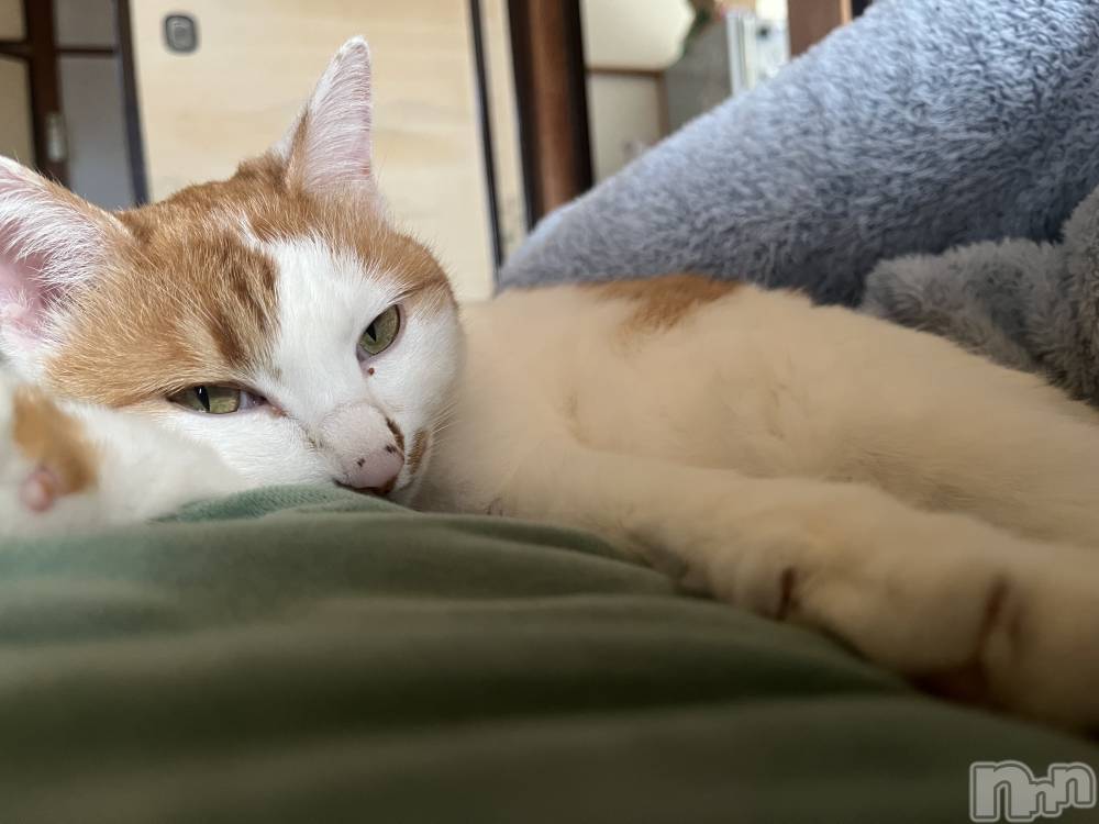 ��ë����Х��顦�����CLUB��Paladin(����֡��ѥ�ǥ���) �ȱʥ��Τ�12��27���̥�֥����֤�äդ�äա�