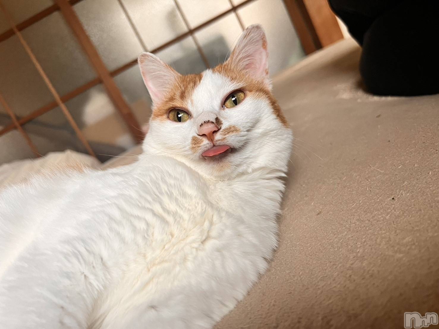 ��ë����Х��顦�����CLUB��Paladin(����֡��ѥ�ǥ���) ��2024ǯ10��4���̥�֥����֤���ˤ��ϻ�Ǥ���