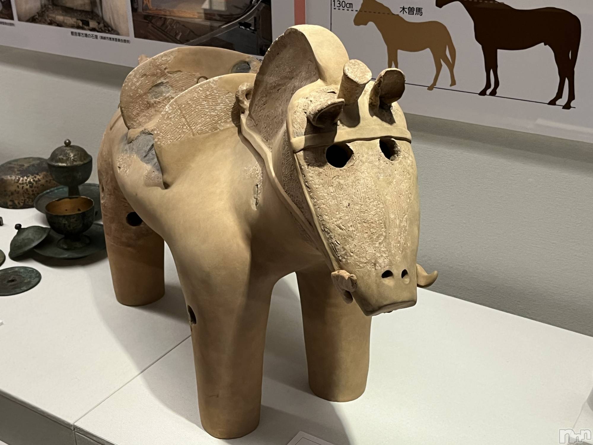 ��ë����Х��顦�����CLUB��Paladin(����֡��ѥ�ǥ���) ��2024ǯ10��11���̥�֥����־��ء�