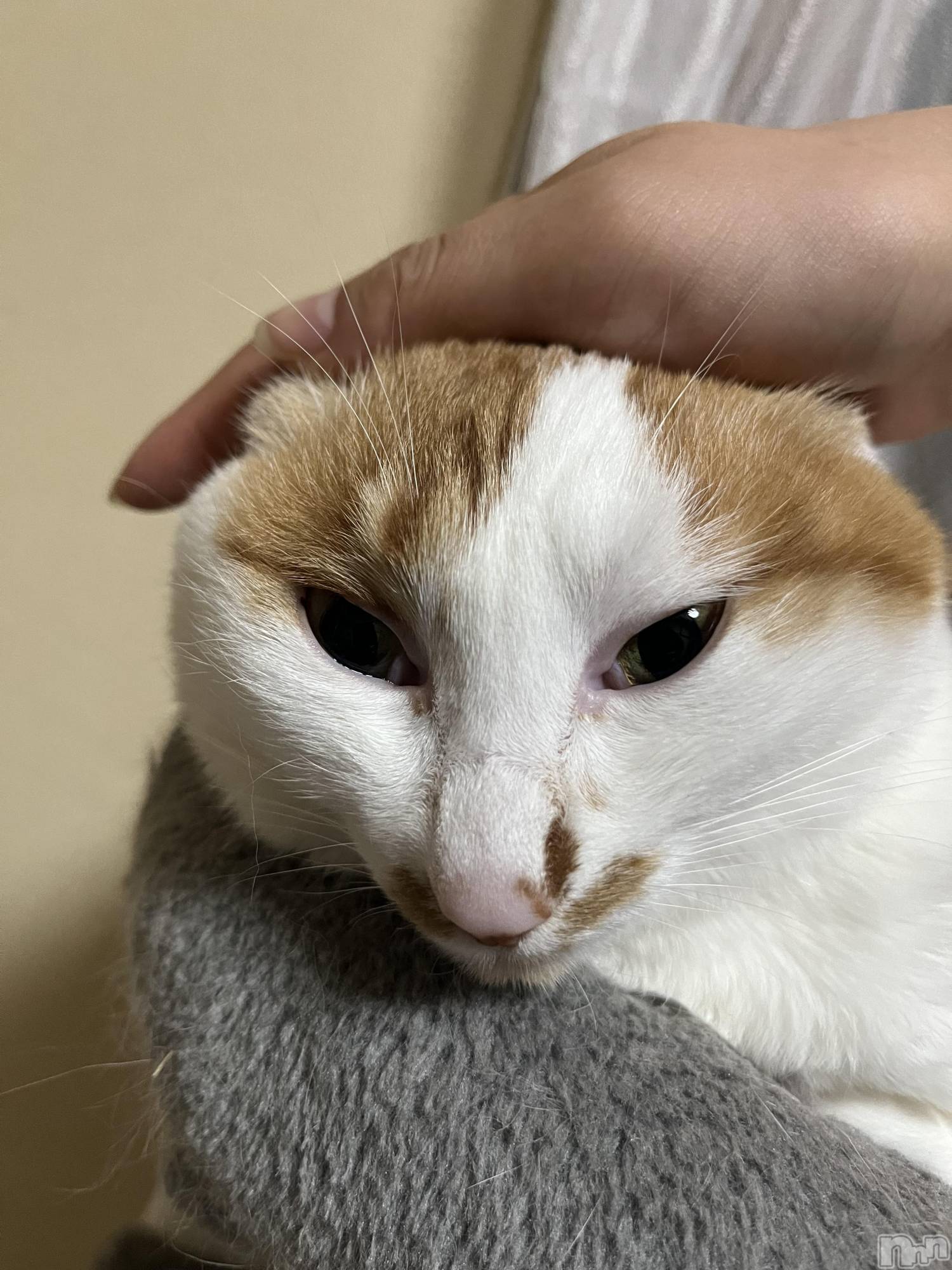 ��ë����Х��顦�����CLUB��Paladin(����֡��ѥ�ǥ���) ��2024ǯ11��15���̥�֥����֤����