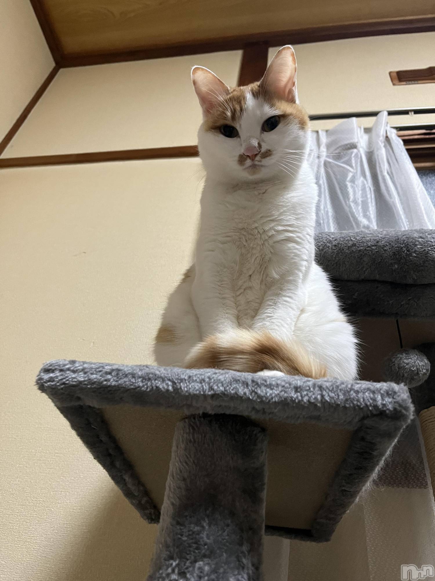 ��ë����Х��顦�����CLUB��Paladin(����֡��ѥ�ǥ���) ��2024ǯ11��21���̥�֥����ָ��������ͤ���