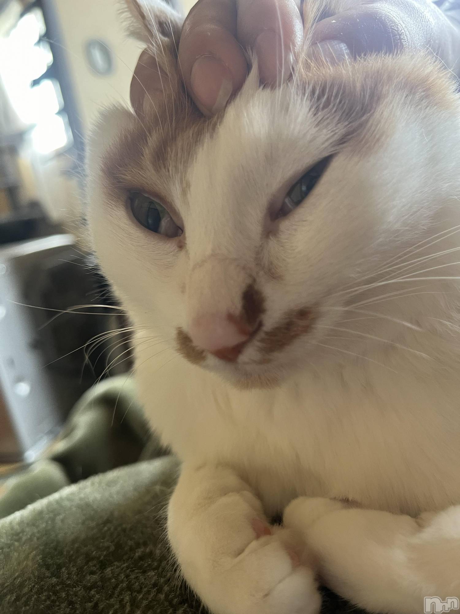 ��ë����Х��顦�����CLUB��Paladin(����֡��ѥ�ǥ���) ��2024ǯ11��29���̥�֥����֤ؤ󤬤���