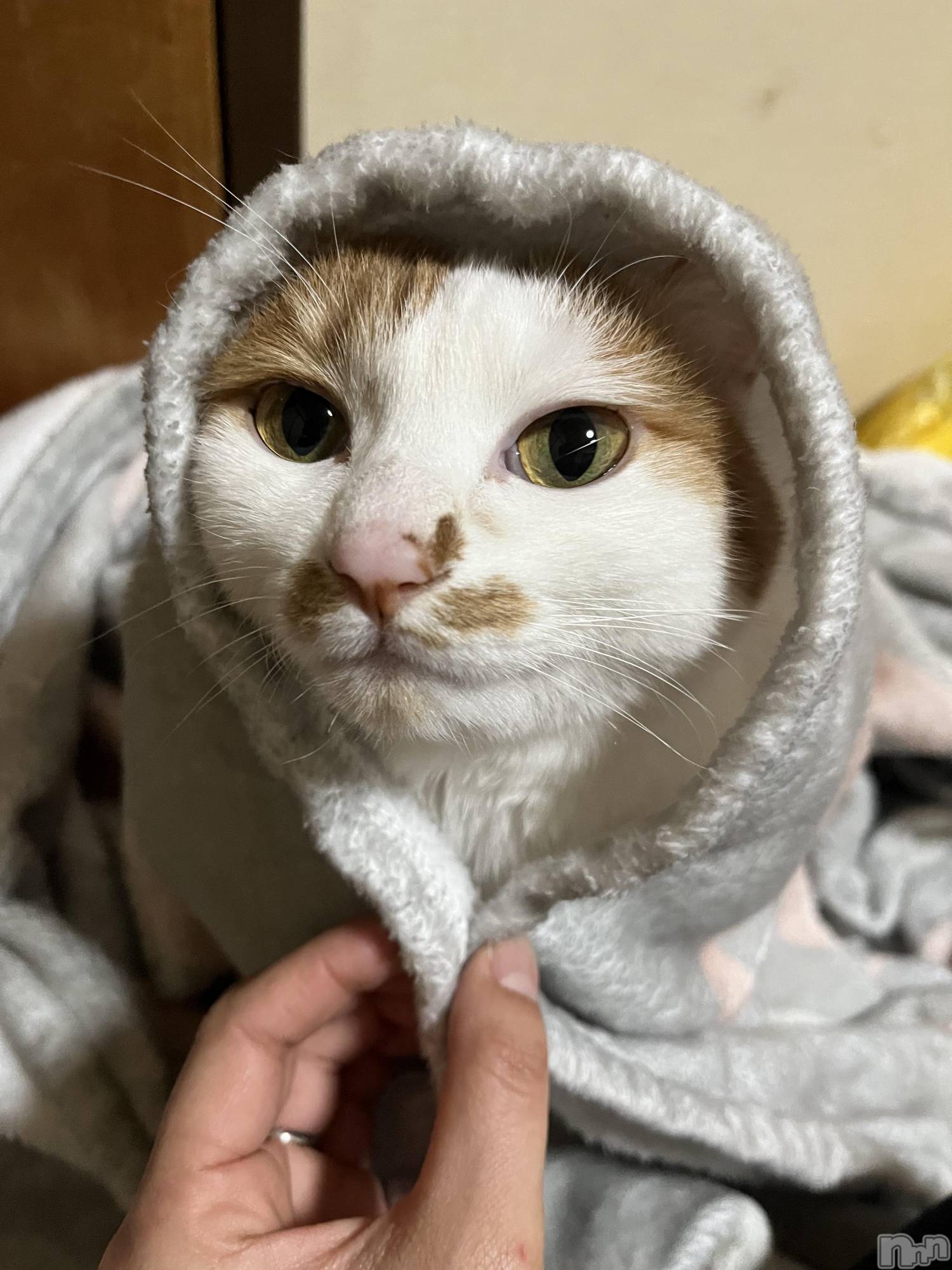 ��ë����Х��顦�����CLUB��Paladin(����֡��ѥ�ǥ���) ��2025ǯ1��12���̥�֥����֎ՎҎ����ݎ��������������܎��������ݡ�