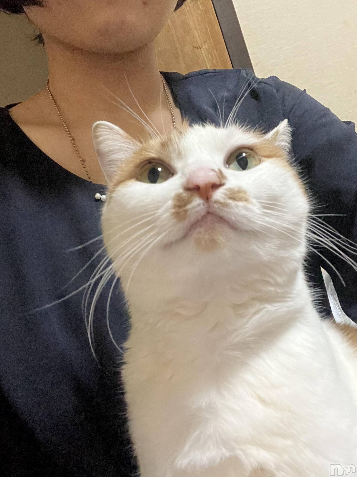 ��ë����Х��顦�����CLUB��Paladin(����֡��ѥ�ǥ���) ��2025ǯ1��19���̥�֥����ֲ����