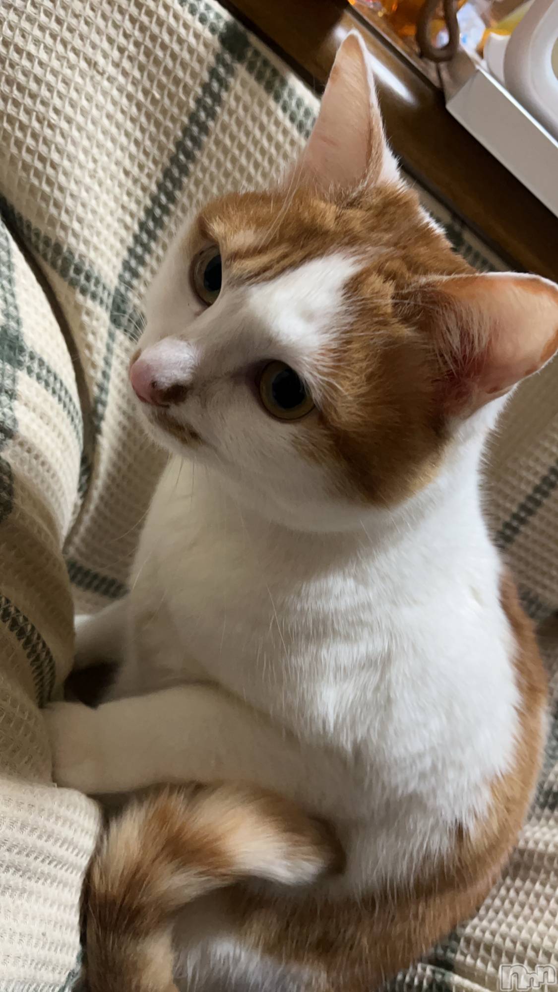 ��ë����Х��顦�����CLUB��Paladin(����֡��ѥ�ǥ���) ��2025ǯ2��8���̥�֥����֤��त��