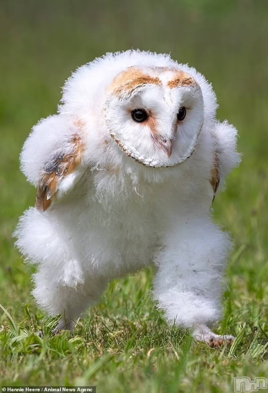 ��ë����Х��顦�����CLUB��Paladin(����֡��ѥ�ǥ���) ��2025ǯ2��28���̥�֥����֎����� �����Ρ�