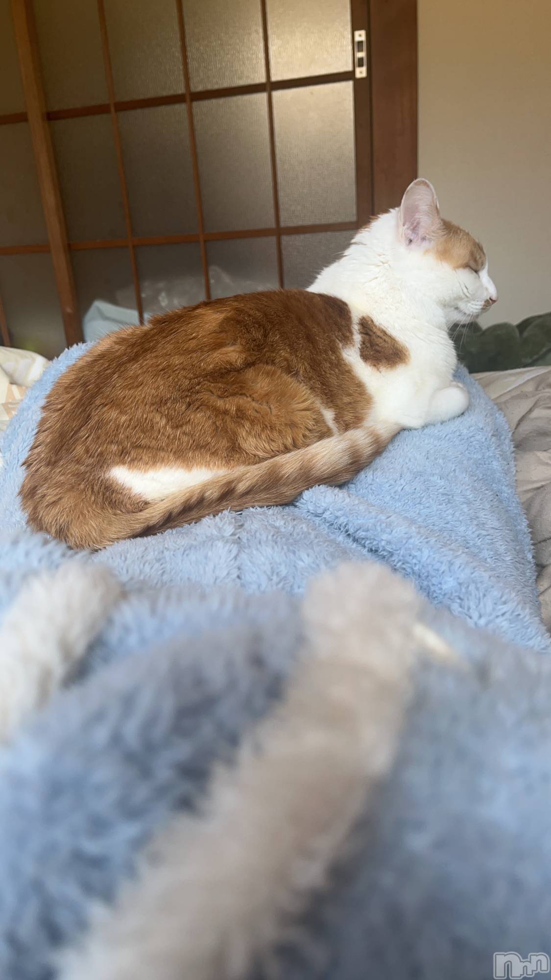 ��ë����Х��顦�����CLUB��Paladin(����֡��ѥ�ǥ���) ��2025ǯ3��27���̥�֥����֤٤ä��������