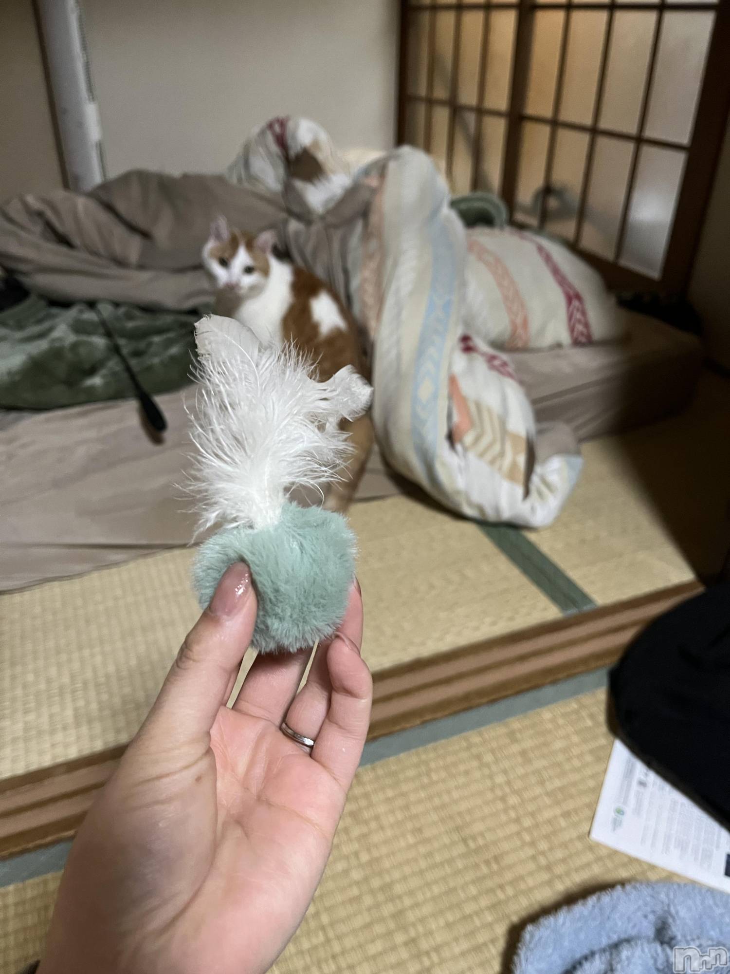 ��ë����Х��顦�����CLUB��Paladin(����֡��ѥ�ǥ���) ��2025ǯ4��6���̥�֥����ֿ�������������