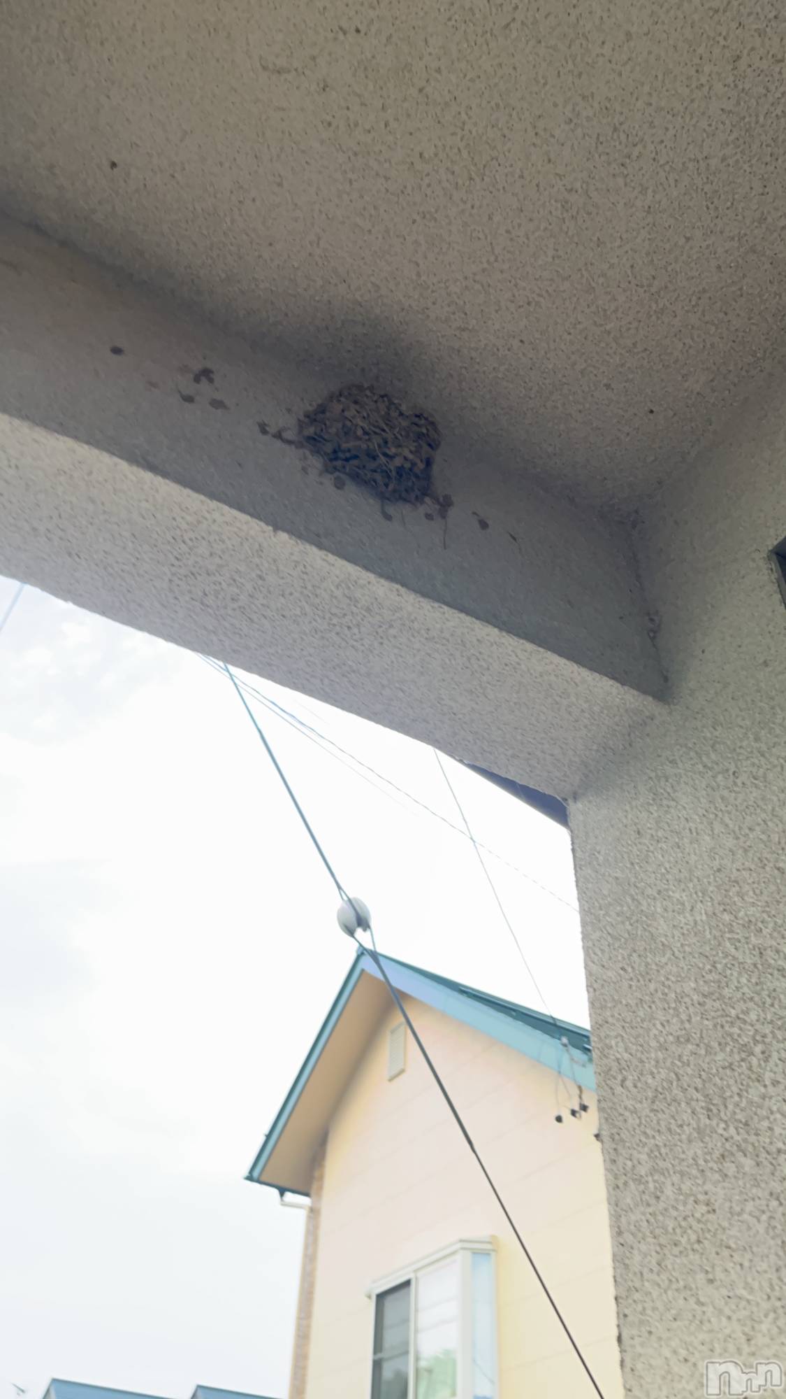 ��ë����Х��顦�����CLUB��Paladin(����֡��ѥ�ǥ���) ��2025ǯ5��15���̥�֥��������