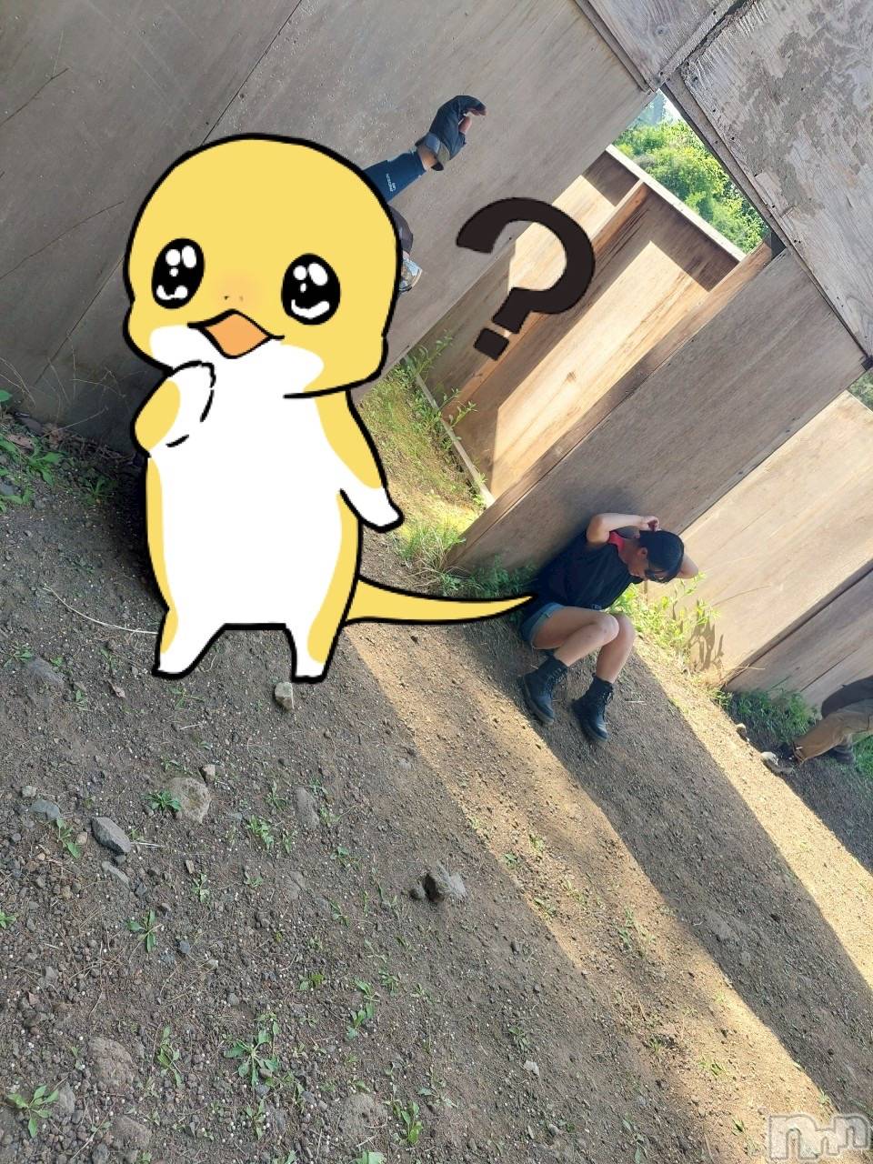 ��ë����Х��顦�����CLUB��Paladin(����֡��ѥ�ǥ���) ��2025ǯ5��25���̥�֥����֥��Х�����