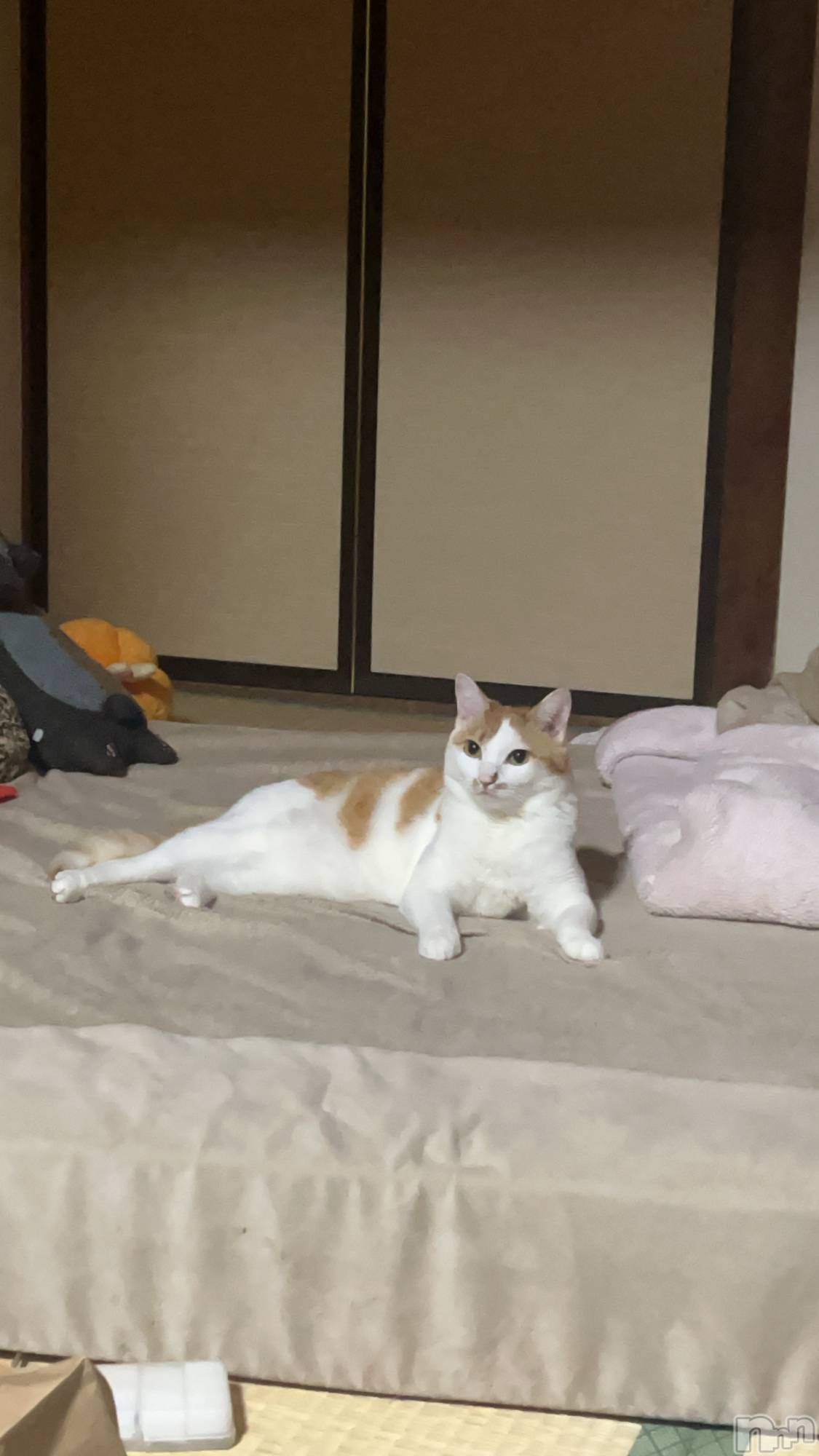 ��ë����Х��顦�����CLUB��Paladin(����֡��ѥ�ǥ���) ��2025ǯ5��31���̥�֥�����ȴ���ӡ�