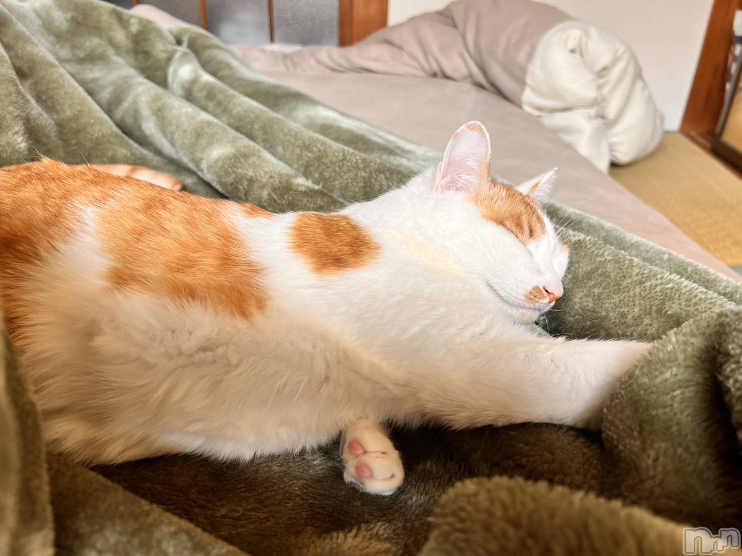 ��ë����Х��顦�����CLUB��Paladin(����֡��ѥ�ǥ���) ��2025ǯ6��13���̥�֥����֤դ�դ��