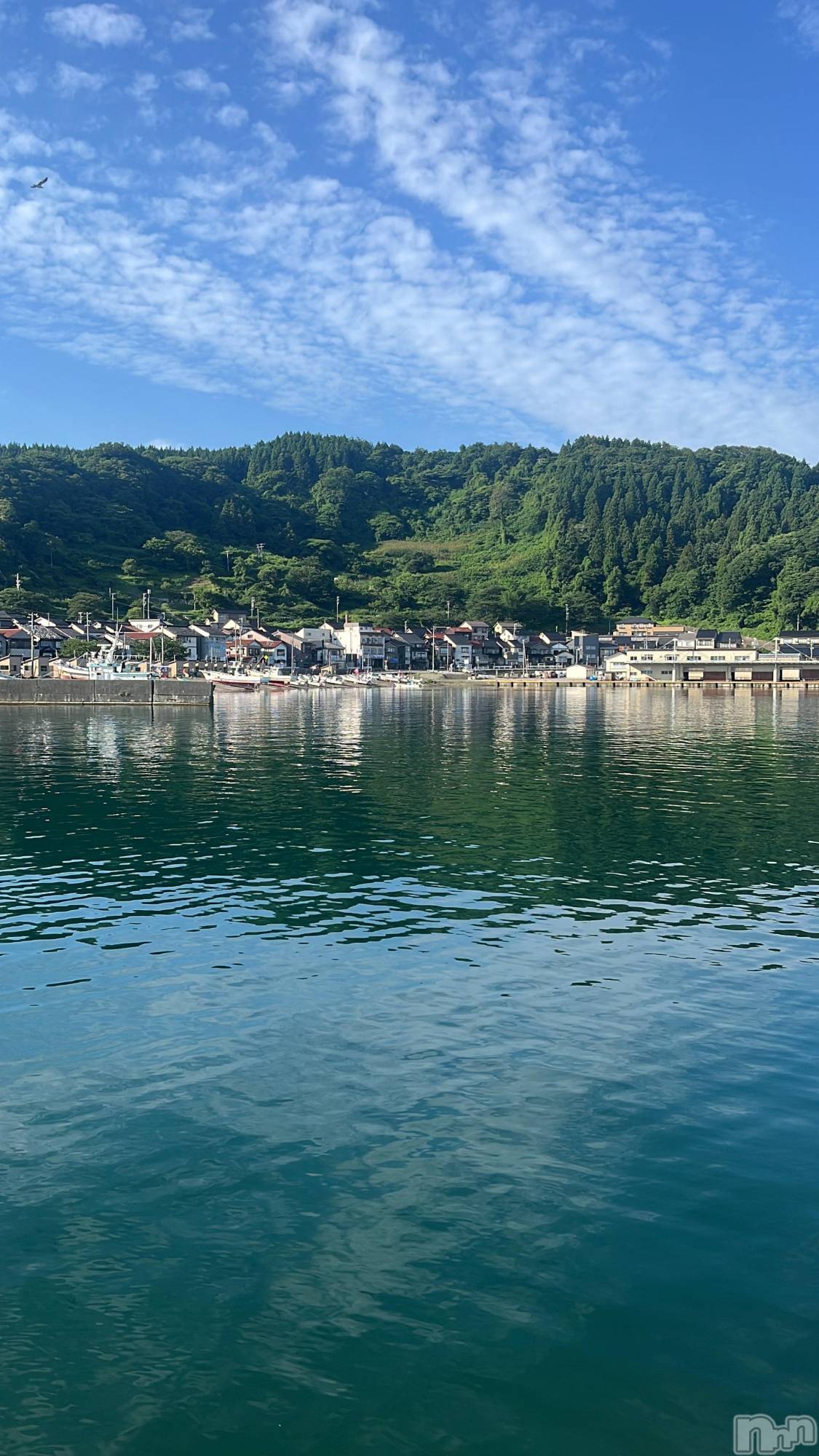 ��ë����Х��顦�����CLUB��Paladin(����֡��ѥ�ǥ���) ��2025ǯ6��21���̥�֥����֤Ĥ��