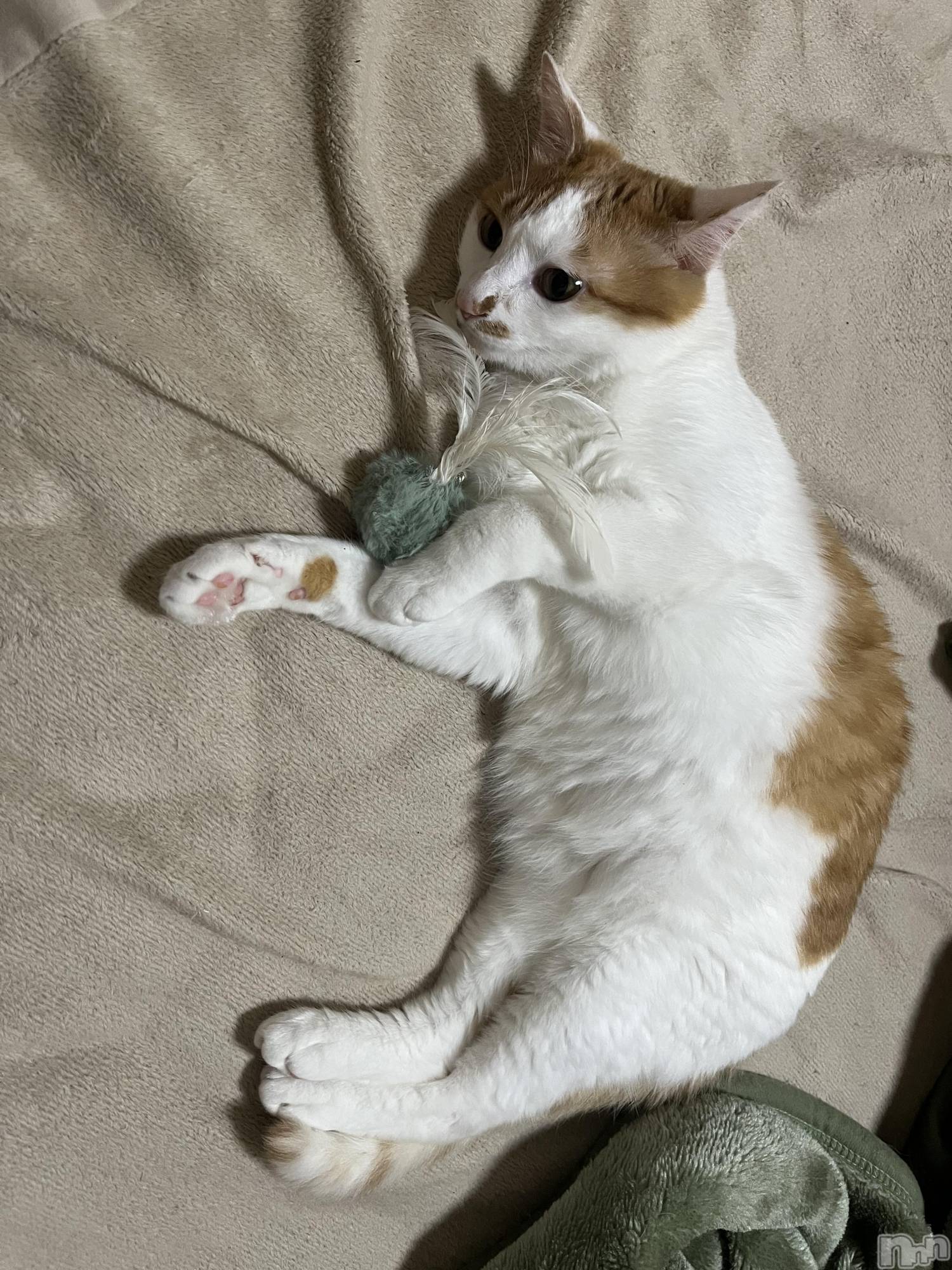 ��ë����Х��顦�����CLUB��Paladin(����֡��ѥ�ǥ���) ��2025ǯ6��27���̥�֥����֤դ�դ��դ�ա�