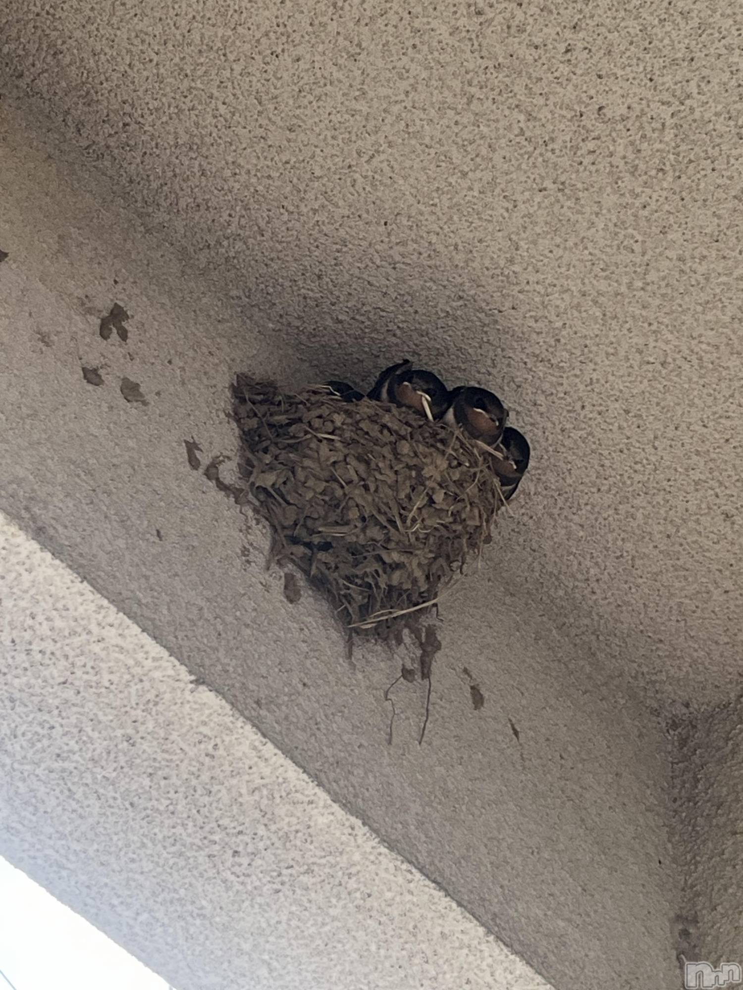 ��ë����Х��顦�����CLUB��Paladin(����֡��ѥ�ǥ���) ��2025ǯ7��11���̥�֥����ְ�ˡ���ۡ�