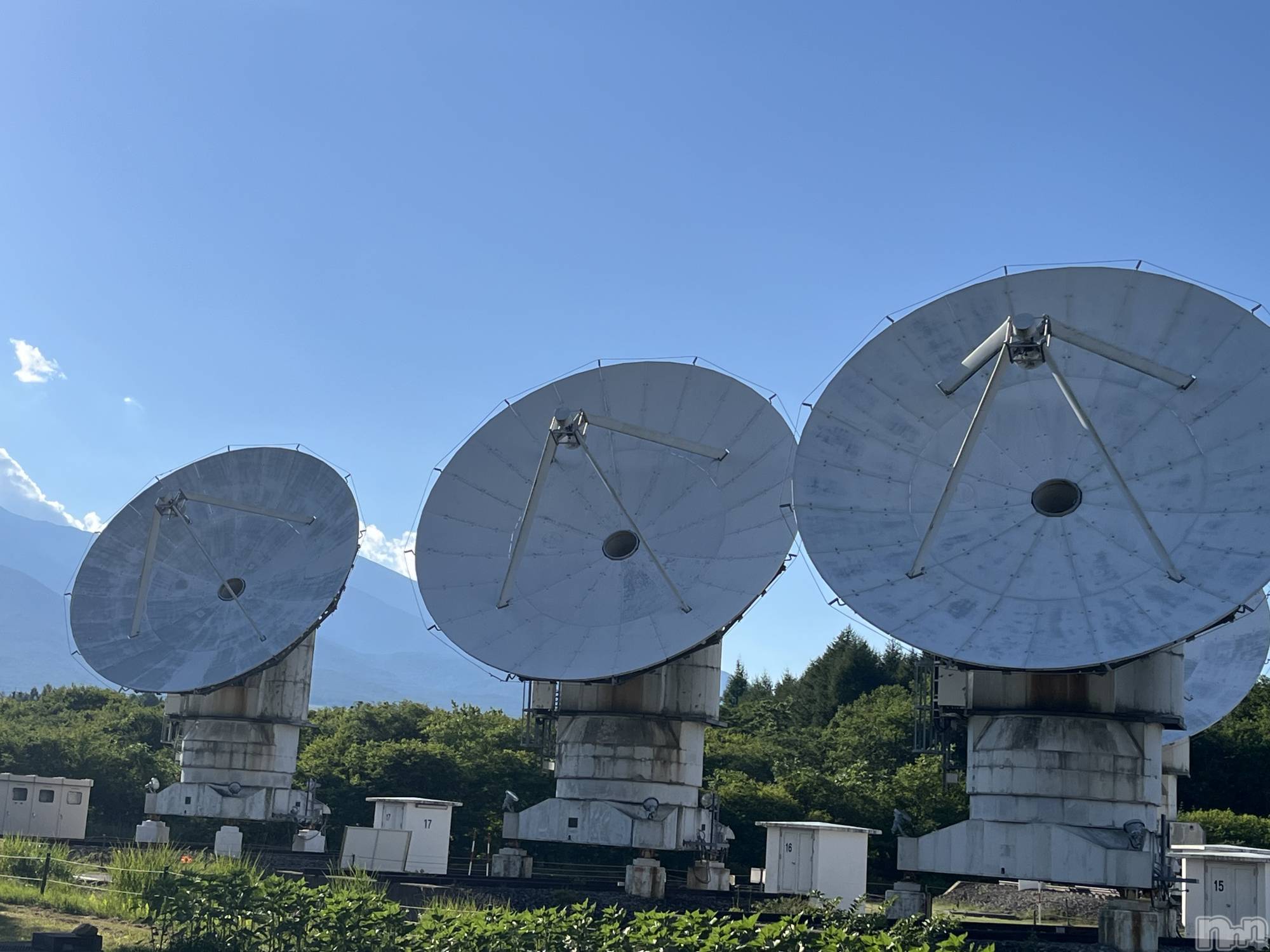 ��ë����Х��顦�����CLUB��Paladin(����֡��ѥ�ǥ���) ��2025ǯ8��1���̥�֥��������Ͻ��魢��