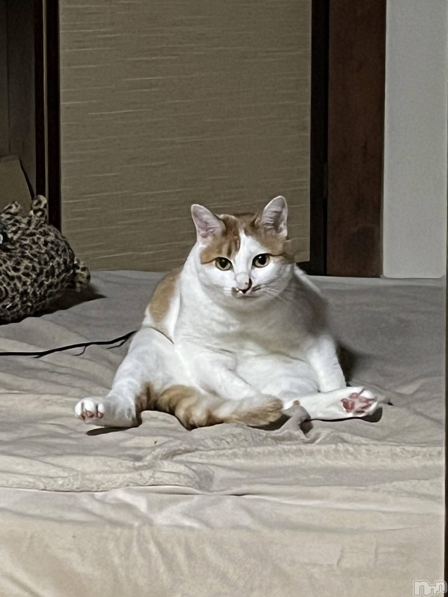 ��ë����Х��顦�����CLUB��Paladin(����֡��ѥ�ǥ���) ��2025ǯ11��13���̥�֥����֎ՎҎ����ݎ��������������܎��������ݡ�