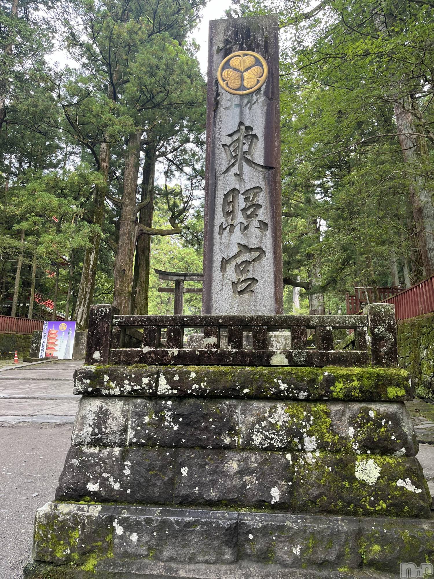 ��ë����Х��顦�����CLUB��Paladin(����֡��ѥ�ǥ���) ��2025ǯ11��19���̥�֥�����������¢���