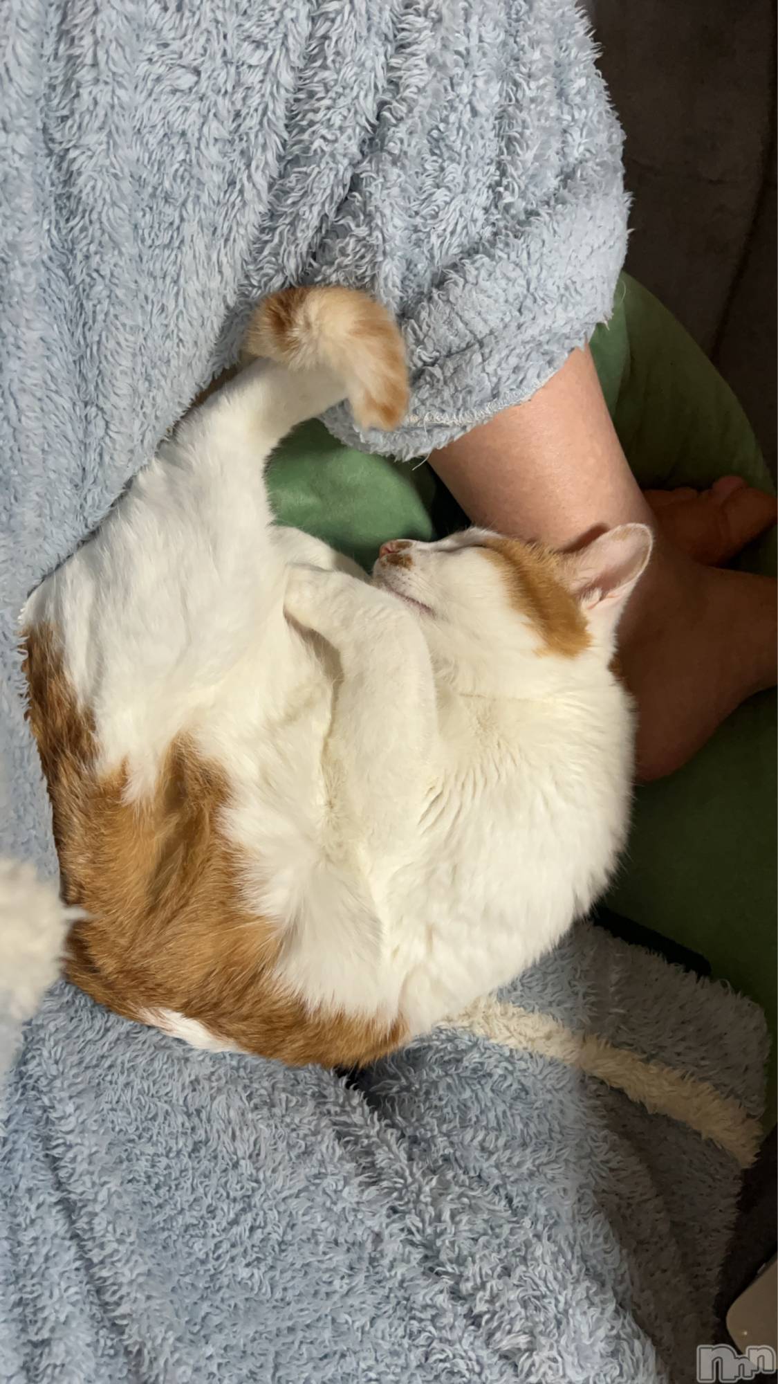 ��ë����Х��顦�����CLUB��Paladin(����֡��ѥ�ǥ���) ��2025ǯ12��6���̥�֥����֤�äդ�äա�