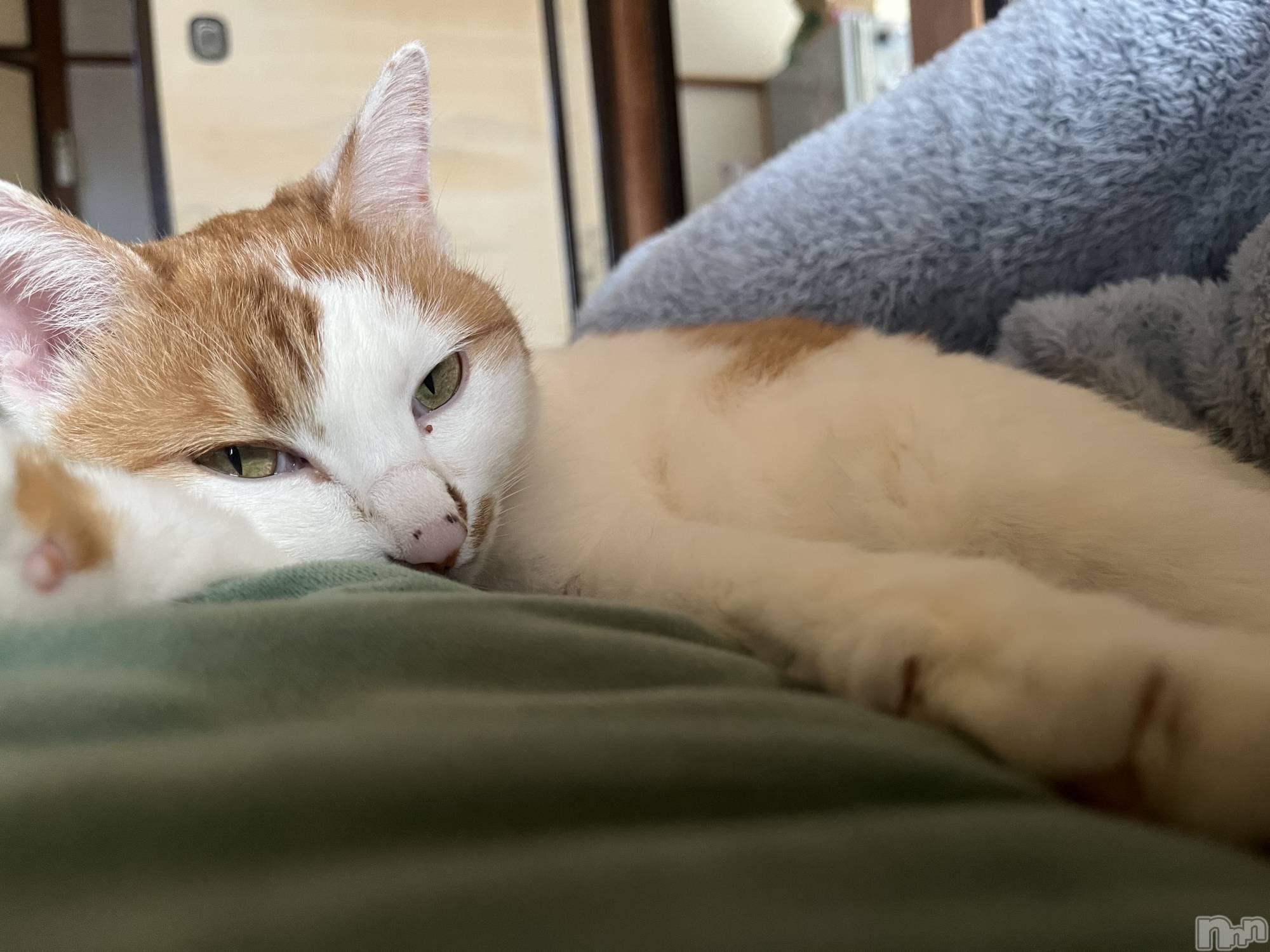 ��ë����Х��顦�����CLUB��Paladin(����֡��ѥ�ǥ���) ��2025ǯ12��27���̥�֥����֤�äդ�äա�