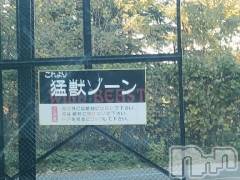 上田発デリヘルBIBLE～奥様の性書～(バイブル～オクサマノセイショ～) ☆ジュリ☆(27)の11月26日写メブログ「とてもお久しぶりです」